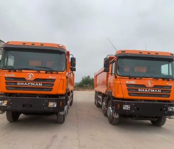 Pakistani Dumper Truck